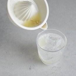 2件8折｜日本KINTO TAKU檸檬榨汁器