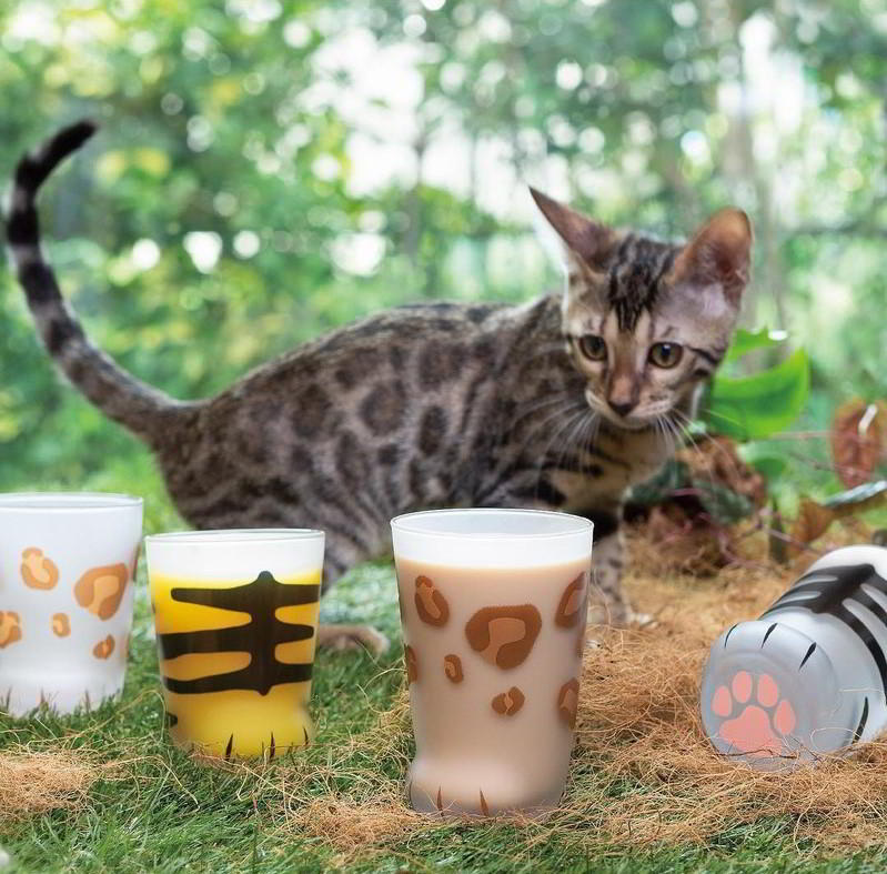 日本ADERIA 可愛貓掌肉球玻璃杯300ml-老虎