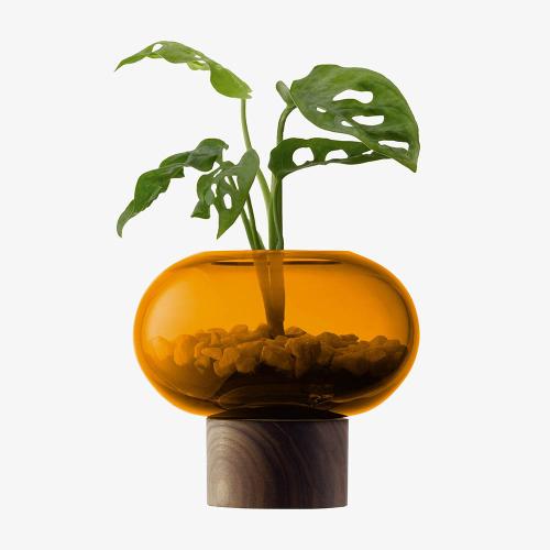 英國LSA OBLATE 橢圓花瓶(小)-琥珀色 附胡桃木底座