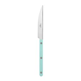 9折｜法國 Sabre Paris Bistrot 法式復古餐刀24cm-粉彩綠