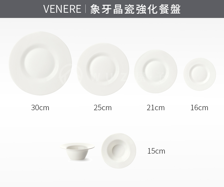 義大利Bormioli Rocco Venere晶瓷強化主餐盤25cm