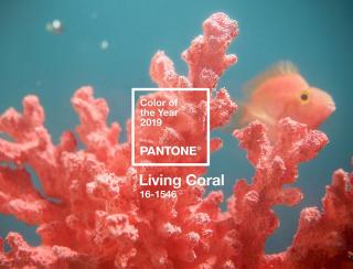 2019 Pantone代表色來惹！換上【Living Coral 活珊瑚橘】家居吧